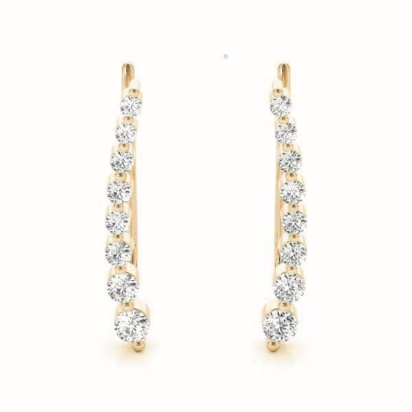 14K Yellow Gold Diamond Fashion Earrings