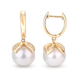 14KT Yellow Gold Freshwater Pearl Earring