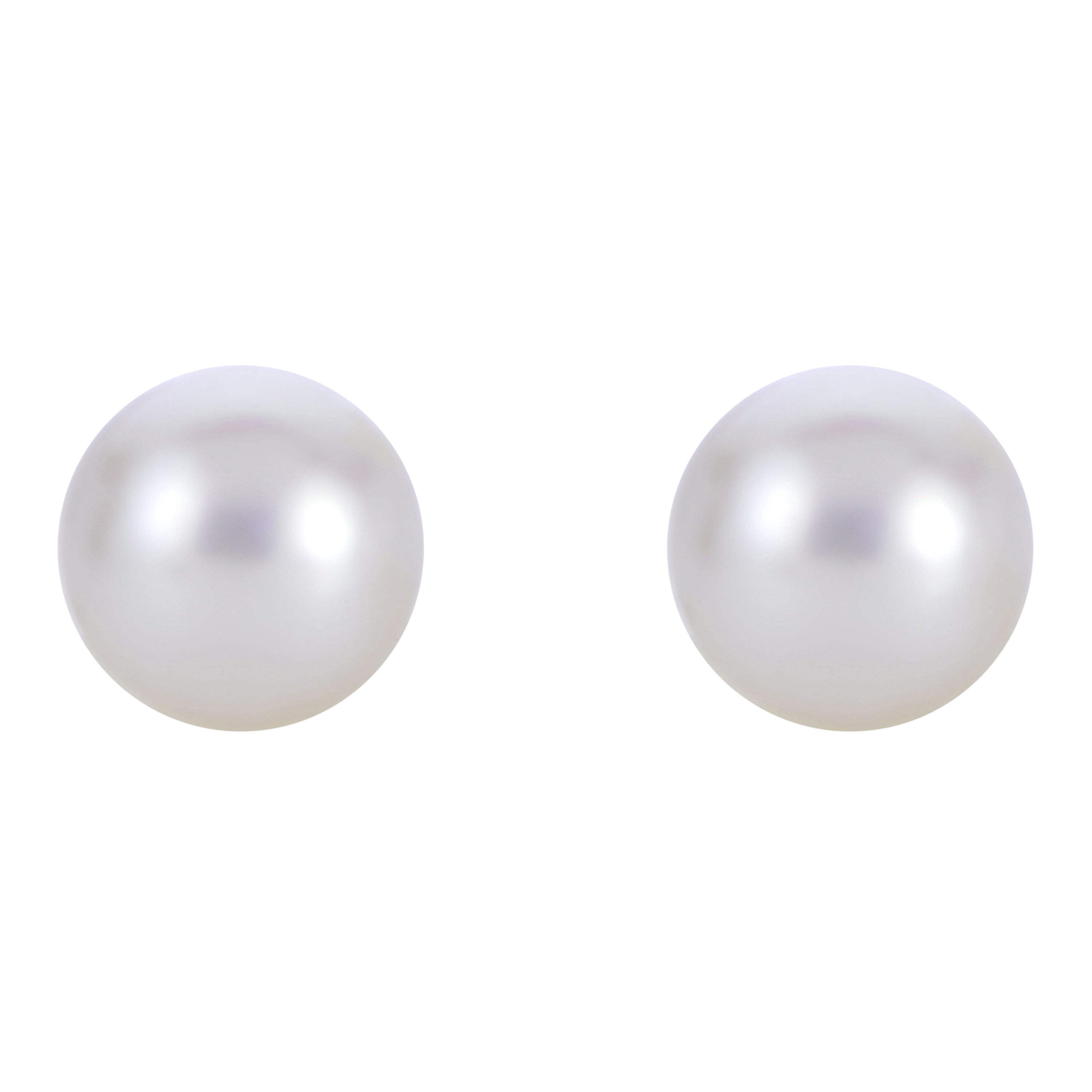 14KT White Gold Akoya Pearl Earring