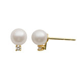 14KT Yellow Gold Akoya Pearl Earring