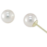 18KT Yellow Gold Akoya Pearl Earring