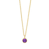 14K Amethyst Birthstone Pendant