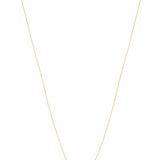 14K Gold Italian Horn Necklace