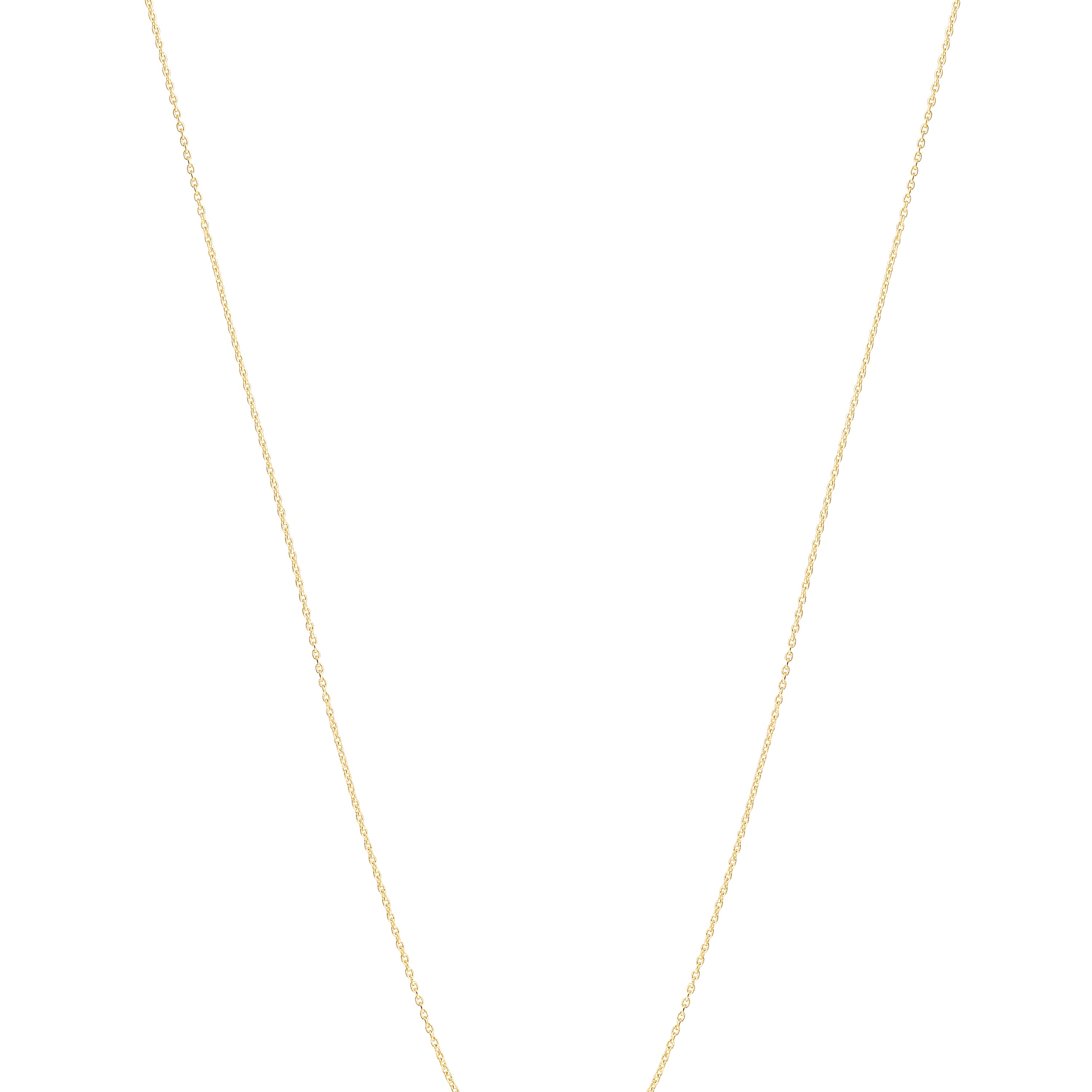 14K Gold Italian Horn Necklace
