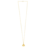 10K Sea Shell Necklace